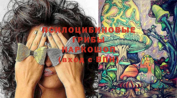 ECSTASY Волоколамск