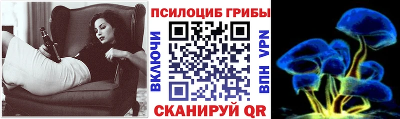 mega tor  Карачев  Псилоцибиновые грибы Psilocybine cubensis 