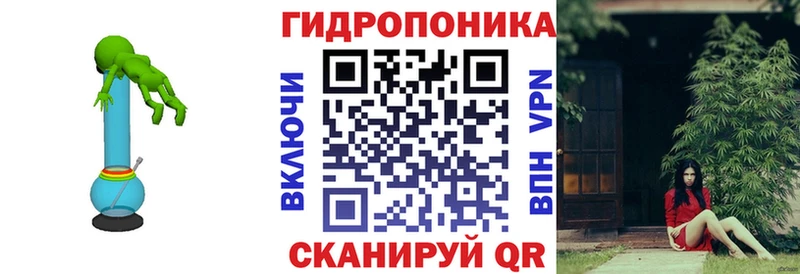 Конопля VHQ  где найти наркотики  Карачев 